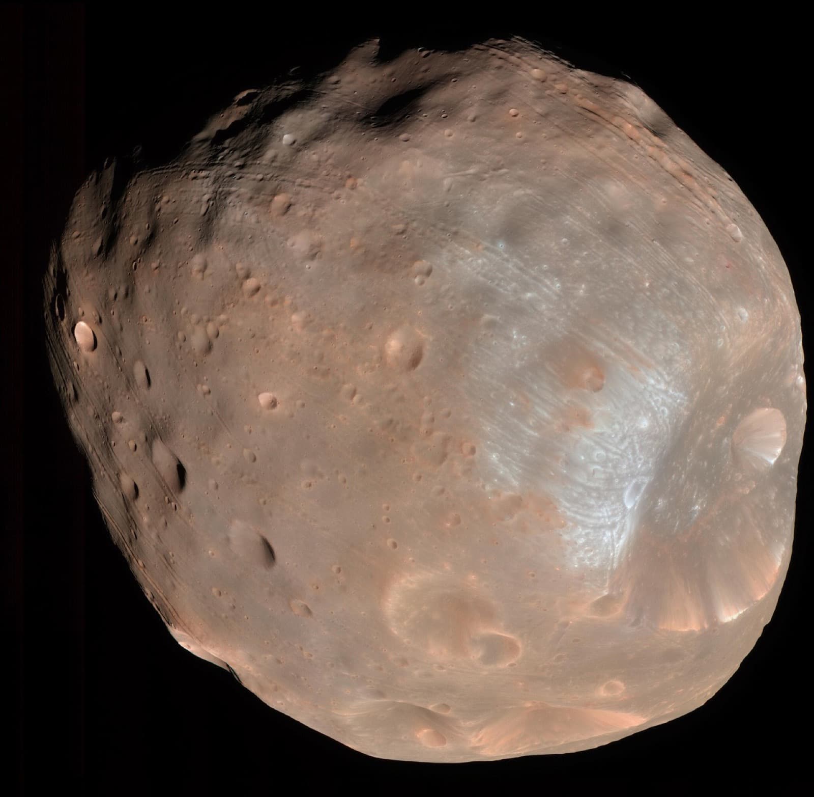 HiRISE view of irregular Phobos with Stickney crater and a dusty, grooved surface.