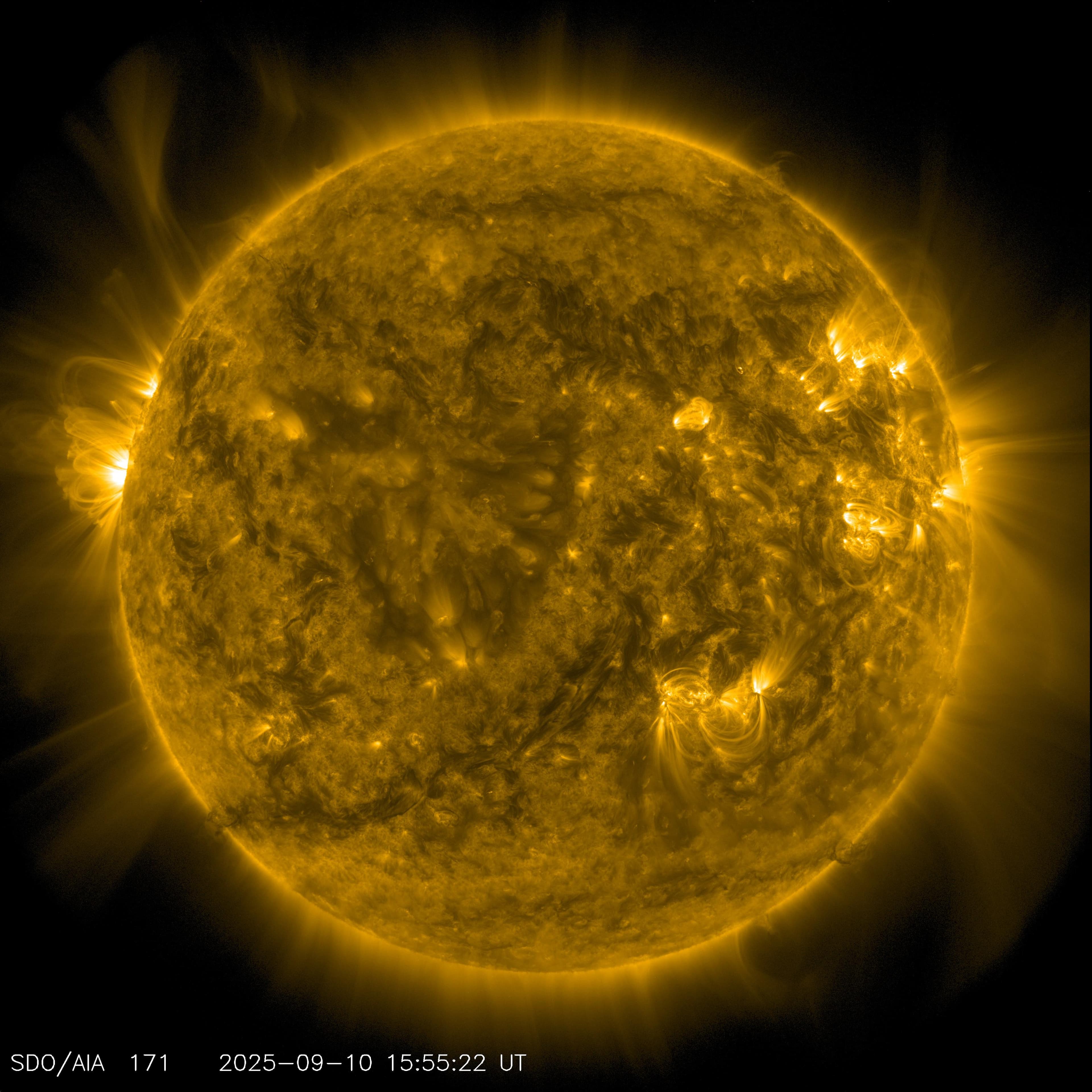 False-color full-disk ultraviolet observation of the Sun from NASA's Solar Dynamics Observatory.