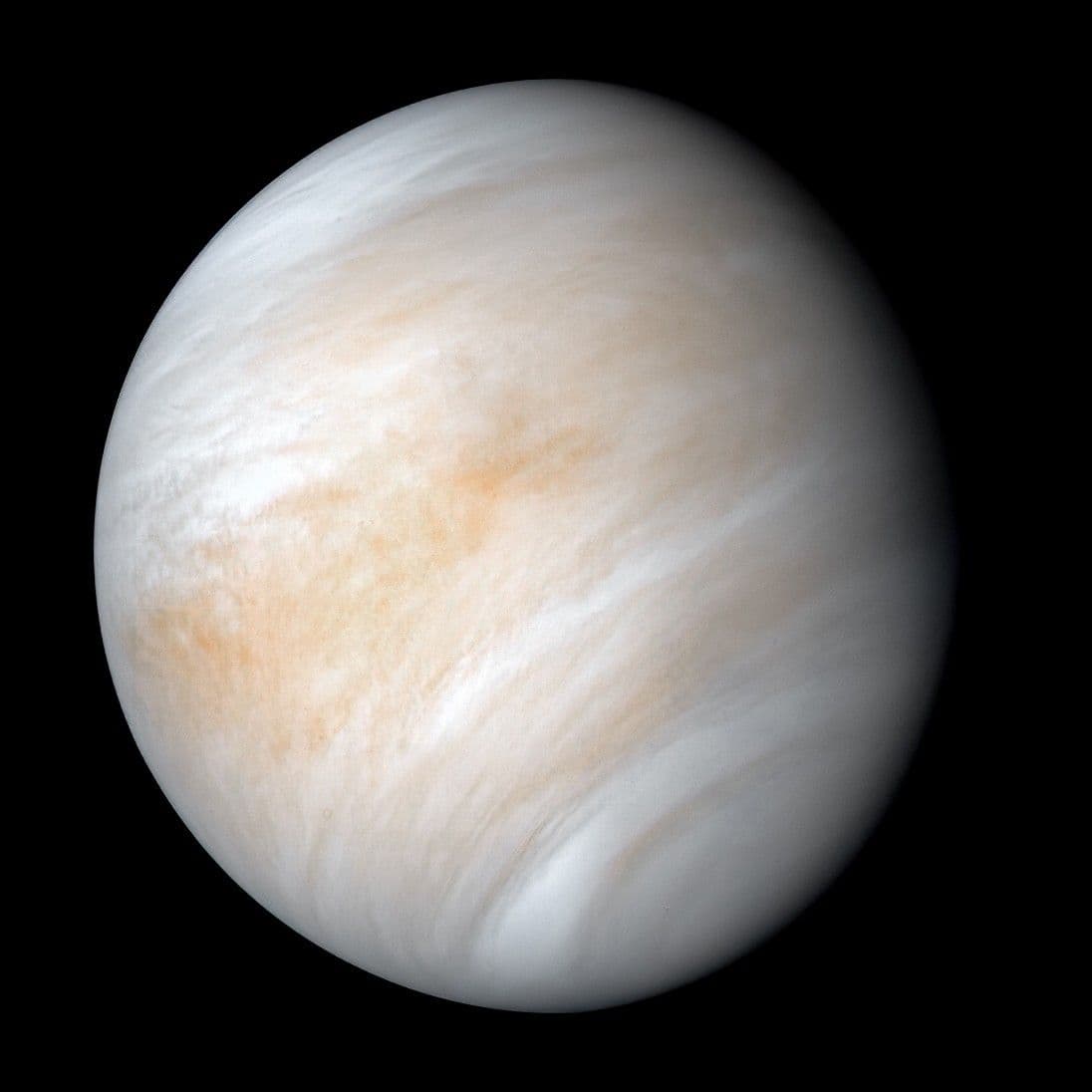 A pale cream false-colour disk of Venus, with broad cloud streaks curving across the planet.